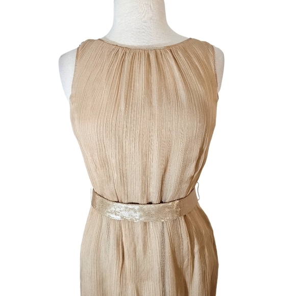 Lida Baday Champagne Silk Belted Dress - Picture 4 of 6